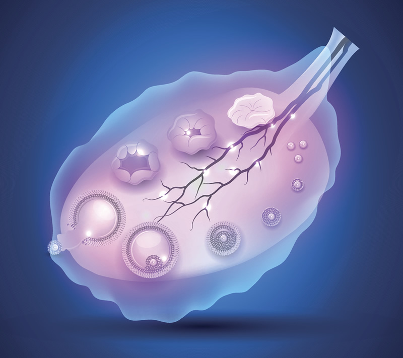 无锡人民医院试管婴儿成功率高不高，过程数据已给出答案